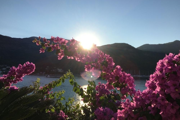 Hotel Villa Almadria Luxury Bed & Breakfast Adults Only (Dubrovačko Primorje)